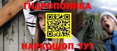 jwh Краснодар