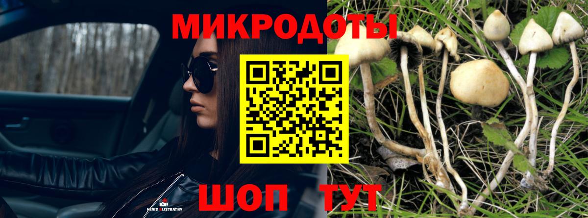 Коркино  Псилоцибиновые грибы Psilocybe  Вход с VPN 